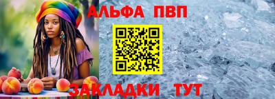 шишки Владимир