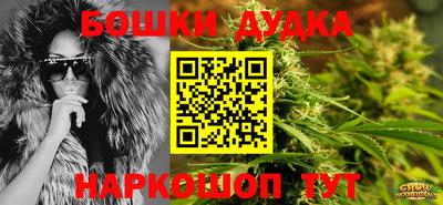 стаф Владивосток
