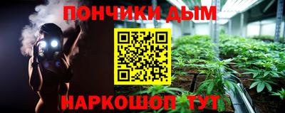 шишки Владимир