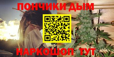 шишки Владимир