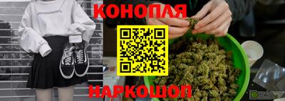 стаф Владивосток