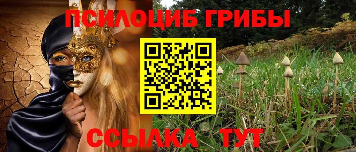 Верхняя Пышма  Псилоцибиновые грибы Cubensis  Псилоцибиновые грибы Magic Shrooms  Вход с VPN 